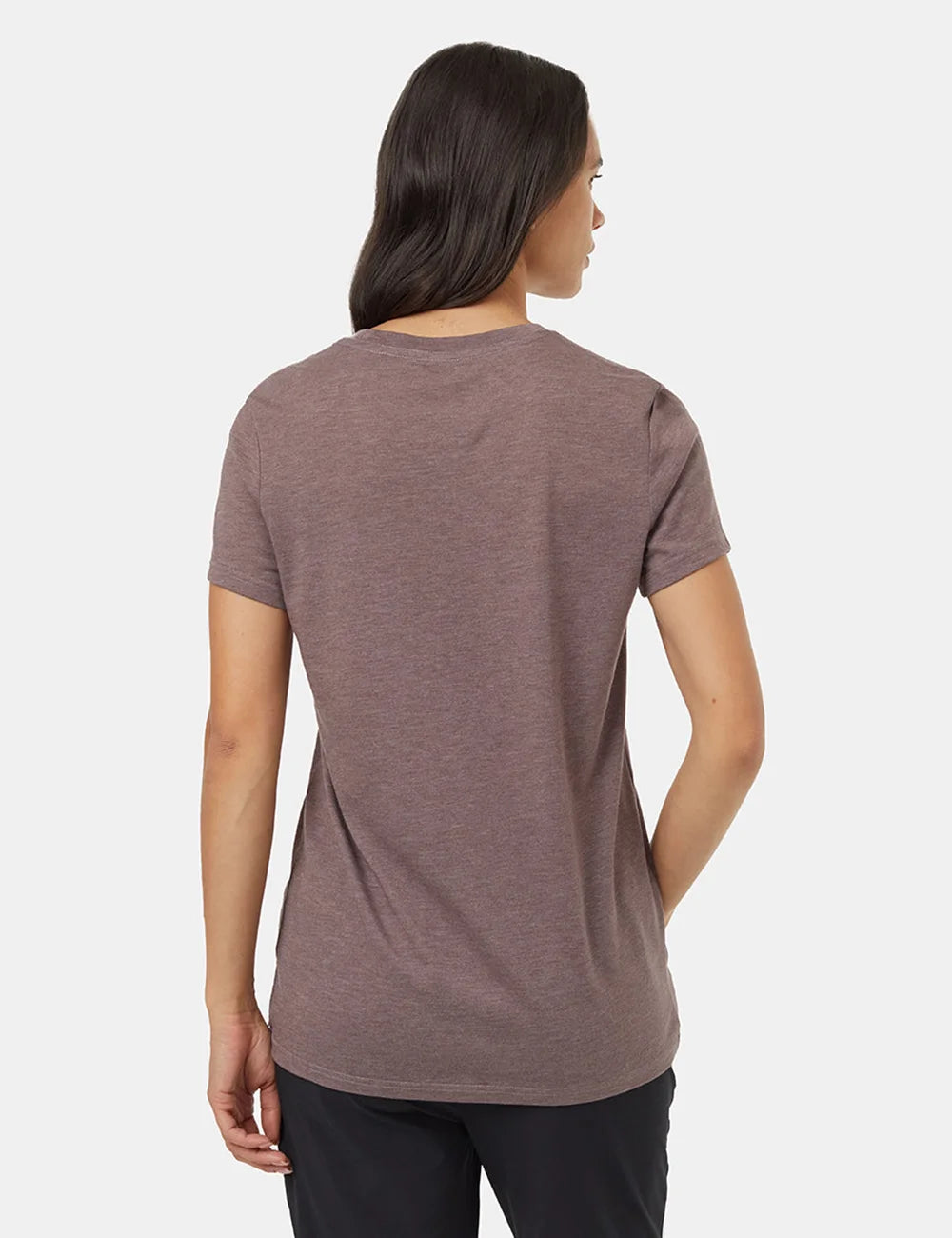 Evergreen Forest Graphic Tee